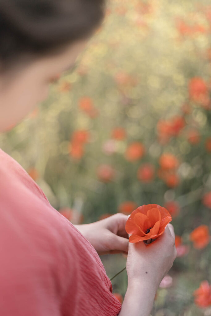 Shooting photo famille dans les champs de coquelicots  Haut-Var
